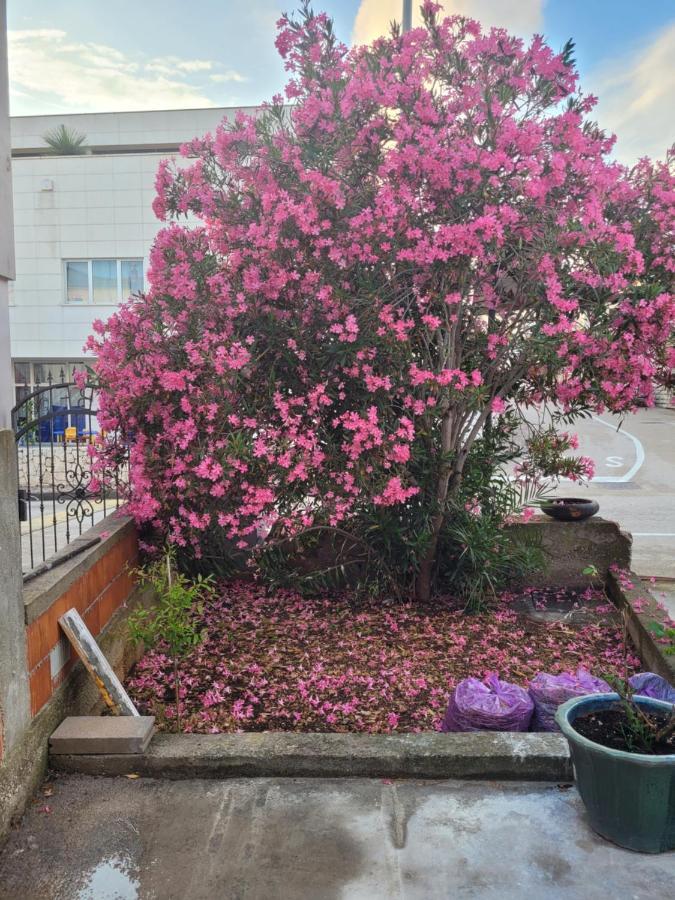 Harizma Apartment Primosten Luaran gambar